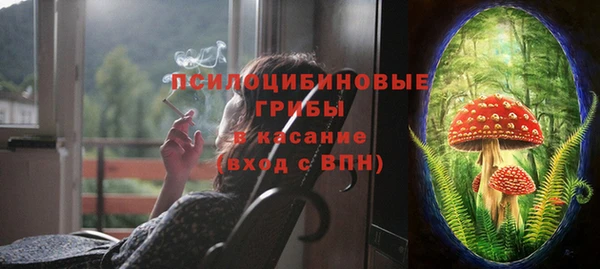 шишки Абинск