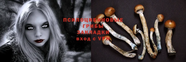 шишки Абинск