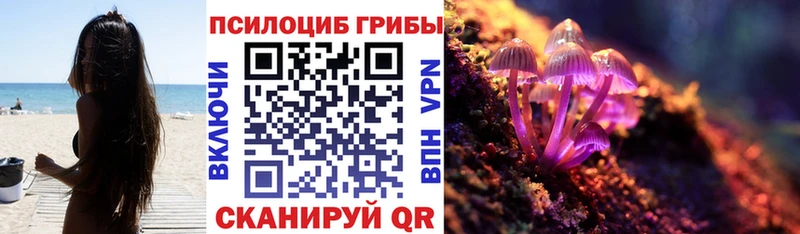 Галлюциногенные грибы GOLDEN TEACHER  что такое   Абаза 