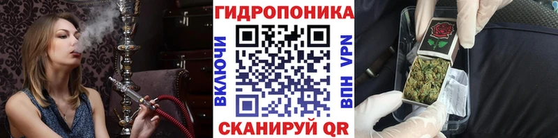 Шишки марихуана конопля  продажа наркотиков  Абаза 